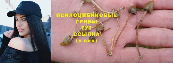 дурь Верхний Тагил